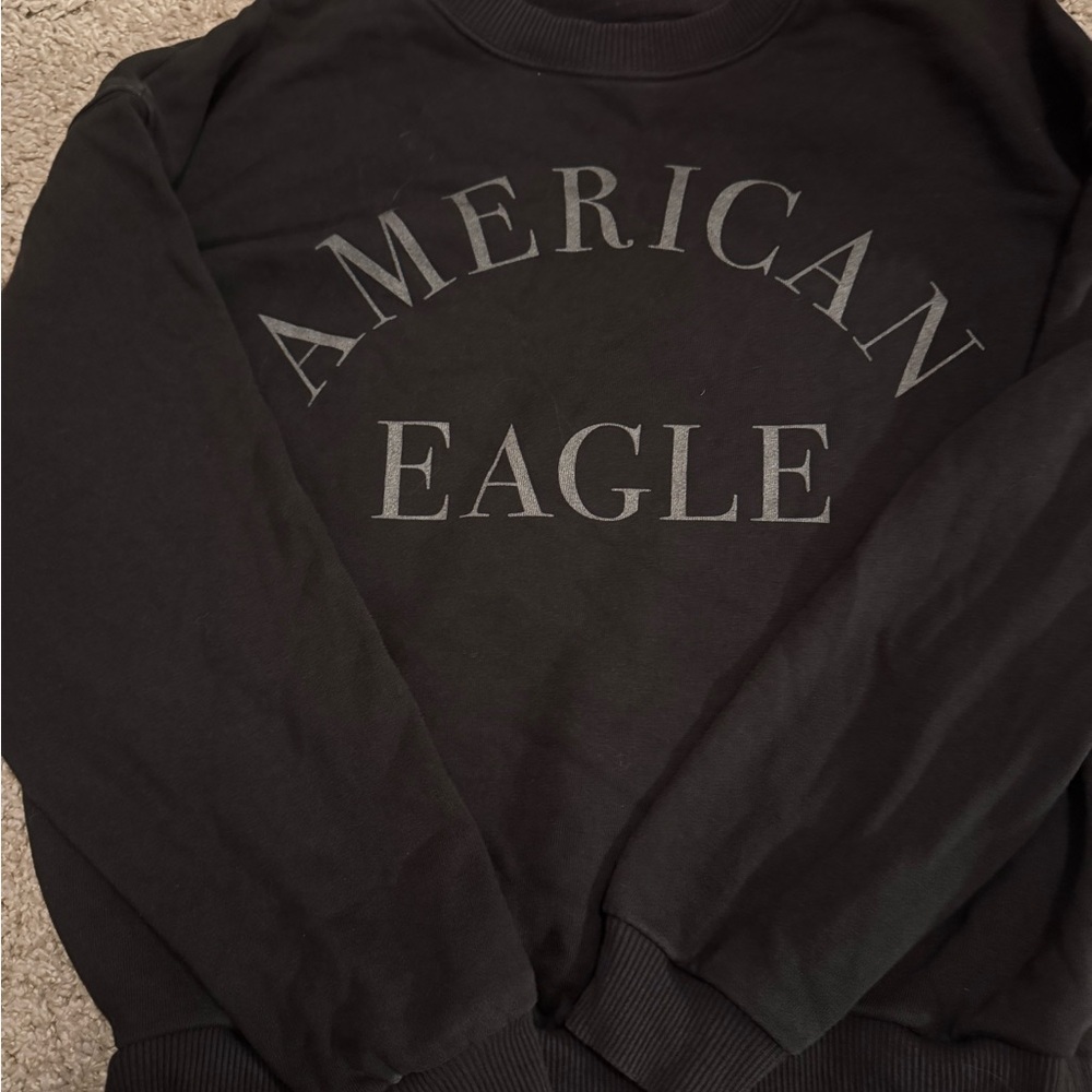 American Eagle Outfitters Charcoal Crewneck Sweater